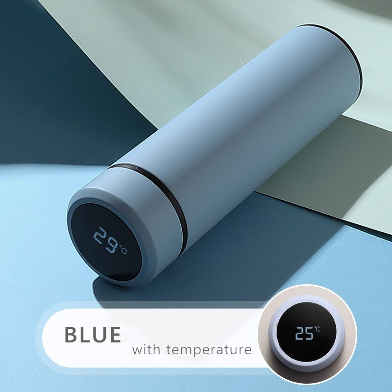 Insulated Bottle with Tea Filter ( Hot Water )