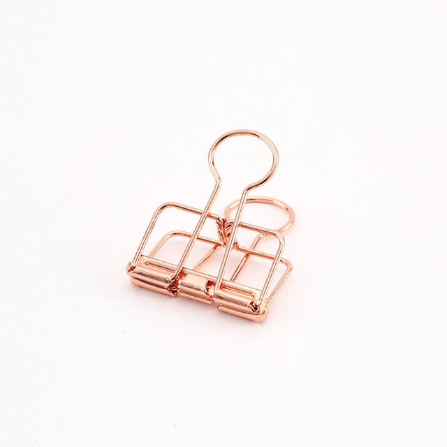 Mr Paper Color Singular Binder Clip - Mix and Match