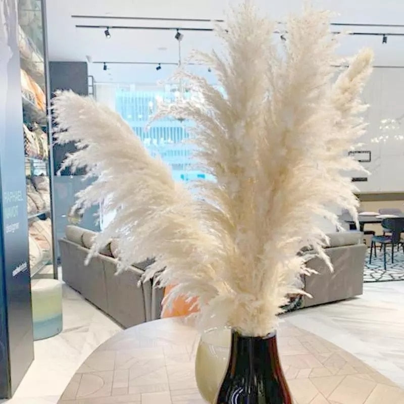 Singular Faux Pampas Grass For Home Décor