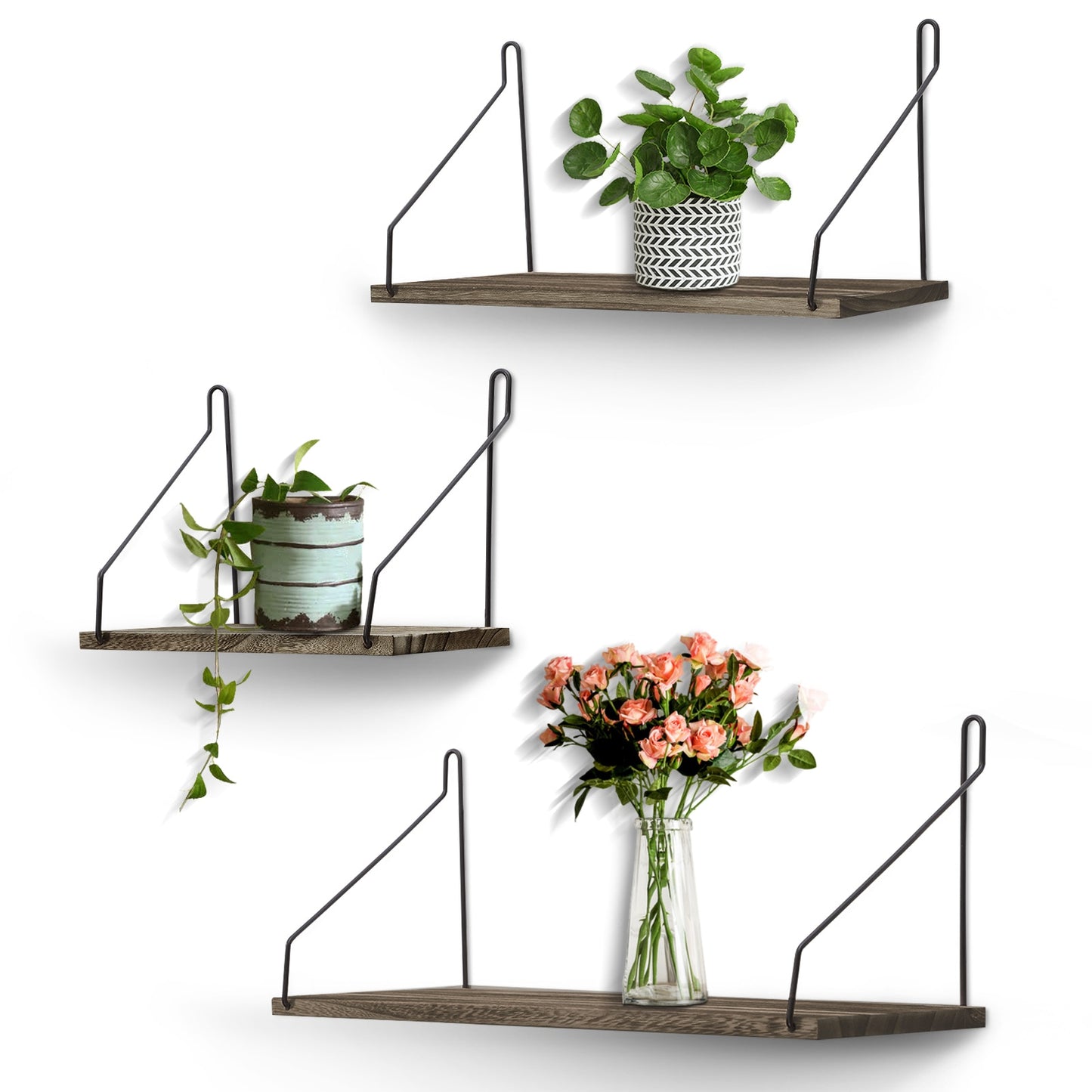 3PCS Mounted Book Shelf