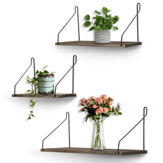 3PCS Mounted Book Shelf